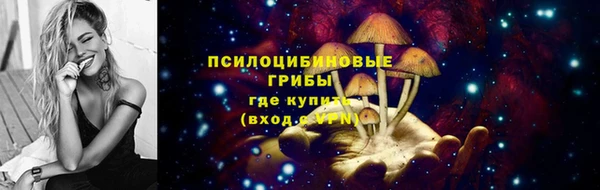 спайс Алзамай