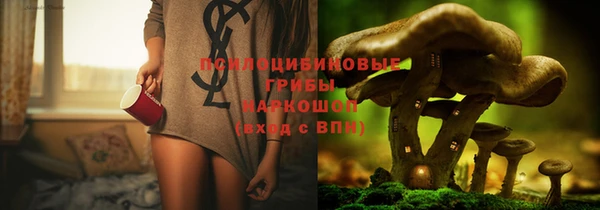 спайс Алзамай