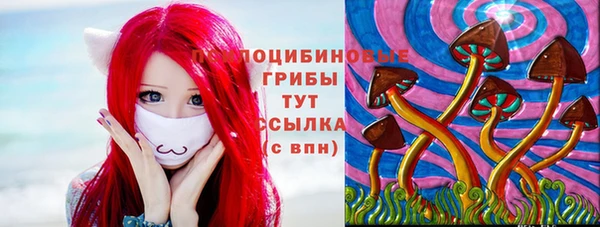 прущие крисы Осташков