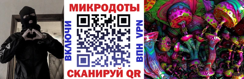 даркнет сайт  Новопавловск  Псилоцибиновые грибы Cubensis 